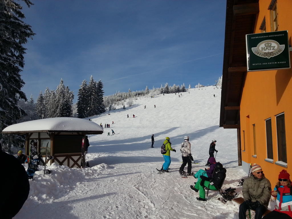Hotel-Berggasthof Schwarzwaldperle ザスバッハヴァルデン エクステリア 写真